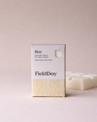 Field Day Classic Hay Wax Melt