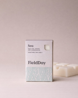 Field Day classis Sea Wax Melt
