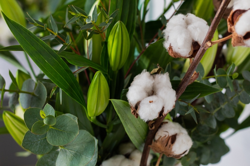 White Lilies and Cotton