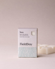 Field Day classis Sea Wax Melt
